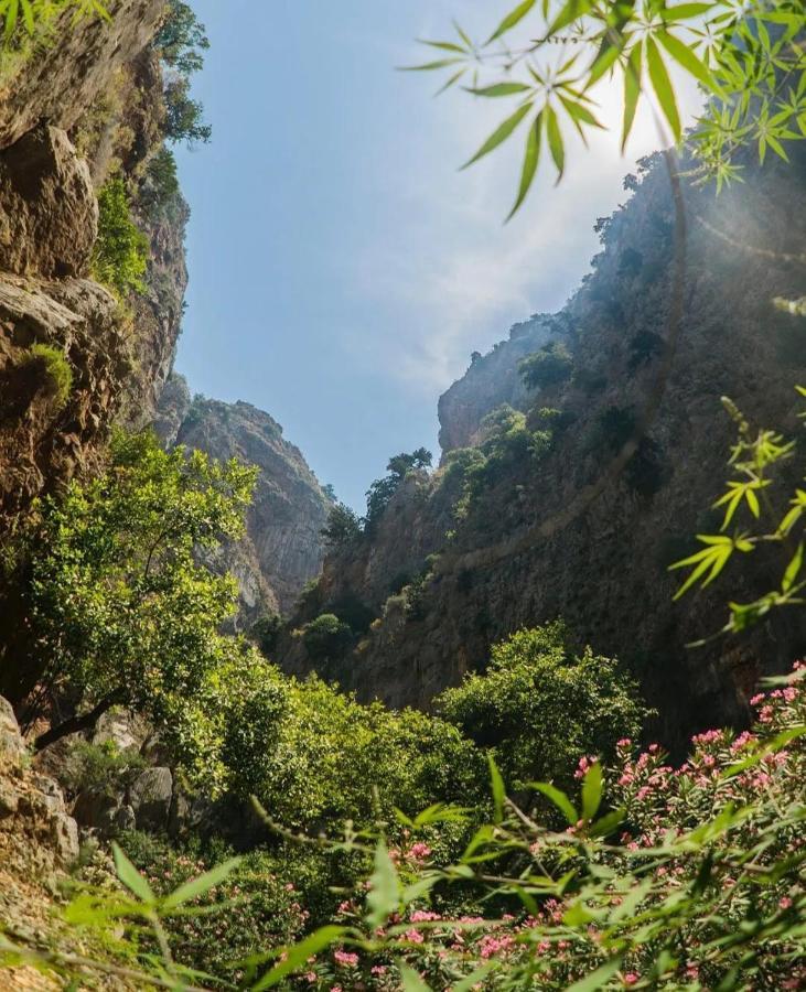 Butterfly Valley Beach Glamping Ölüdeniz Exterior foto